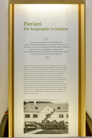 Halleiner Stadtgeschichte(n)_Keltenmuseum Hallein