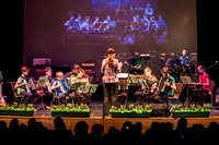 Frühlingskonzert Akkordeon-Orchester Hallein_18. März 2017