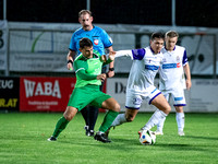 UFC Hallein - SV Hallwang 2 : 0