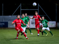 UFC Hallein - SV Grödig 2 : 1