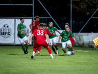 UFC Hallein - SV Grödig 2 : 1