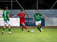 UFC Hallein - SV Grödig 2 : 1