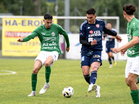 UFC Hallein - TSU Bramberg 2 : 0