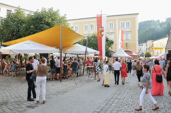 Halleiner Stadtfest 04. Juli 2015