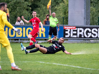 FC Puch - UFC Hallein 0 : 0