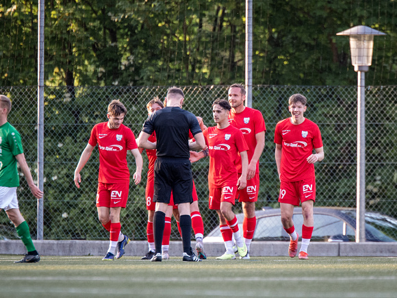 UFC Hallein - SV Grödig_2 : 2