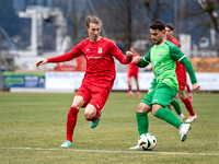 UFC Hallein - SV Seekirchen 1 : 2