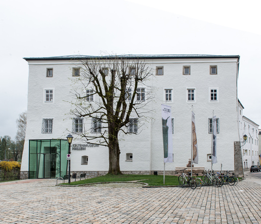 Eröffnung_Die Rückkehr des Streitwagens_Keltenmuseum Hallein 2016-04-09