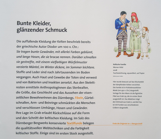 Die Rückkehr des Streitwagens_Hallein Keltenmuseum_08. 04. 2016