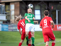 USK Anif - UFC Hallein_0 : 2