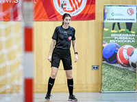 SFV _ Finale Futsal Landesmeisterschaft