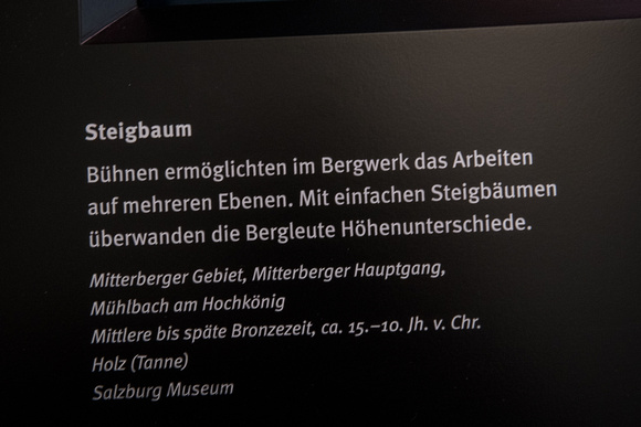 Die Himmelsscheibe von Nebra_Keltenmuseum Hallein_01.02.2018