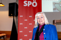 Stadtparteitag der SPÖ Hallein