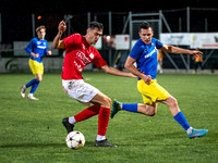 UFC Hallein - SAK 1914_ 2 : 0