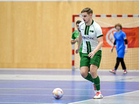 SFV _ Finale Futsal Landesmeisterschaft