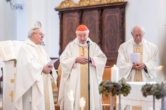 Einweihung Gruber Orgel_Stadtpfarrkirche Hallein_25.11.2018