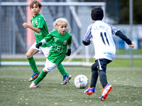 U 9 _ UFC Hallein - FC Puch 1 : 4