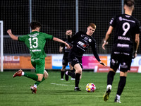 FC Puch - Union Henndorf 2 : 0