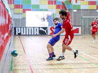42. UFC Stiegl Hallencup