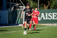 UFC Hallein - FC Puch 3 : 1