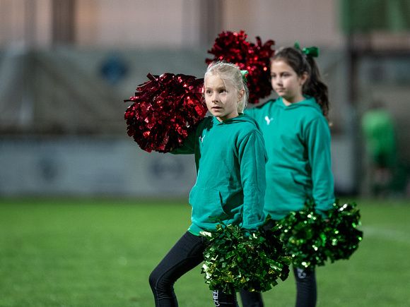 Cheerleader UFC Hallein