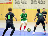 U 11 _ Salzträgercup UFC Hallein _ ULSZ Rif _ 29.12.2024