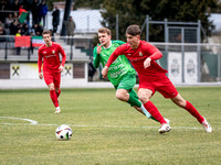 UFC Hallein - SV Seekirchen 1 : 2