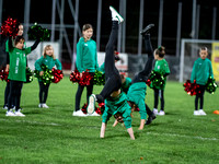 Cheerleader UFC Hallein