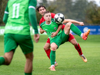 Salzburger Liga _ USK Anif - UFC Hallein 1 : 4 _ 05.10.2024