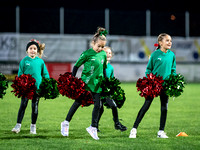 Cheerleader UFC Hallein