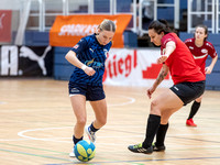 2. UFC Stiegl Ladies - Hallencup