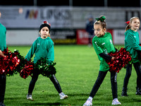 Cheerleader UFC Hallein