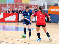 2. UFC Stiegl Ladies - Hallencup