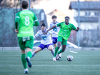 Testspiel UFC Hallein ( SL ) - Austria Salzburg ( RL ) 2 : 2