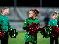 Cheerleader UFC Hallein